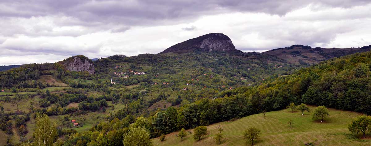 Brădișor